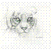TIGRE.gif