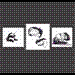 animaux.gif